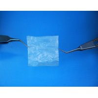 Dry Amniotic Membrane