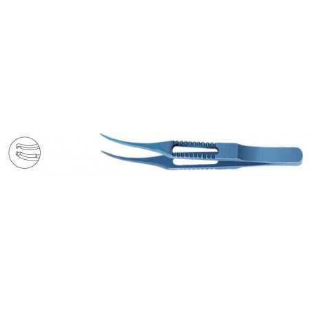 Forceps Notched Curved